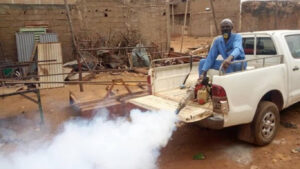 Le Mali face à la dengue : une épidémie sous haute surveillance