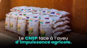 Le Niger et l&rsquo;engrais russe : un pas vers l&rsquo;autonomie alimentaire ou une nouvelle dépendance ?