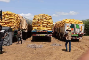 Burkina faso : une junte en quête de crédibilité face à l&rsquo;échec humanitaire