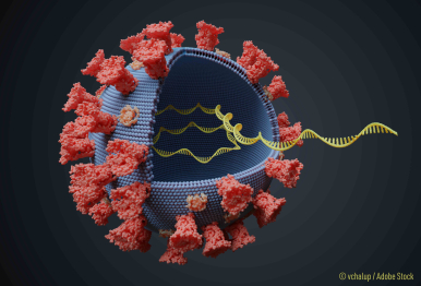 Illustration du virus Covid-19