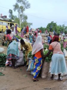 N’djamena face à son défi : ordre urbain et pauvreté persistante