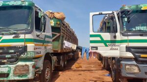 Trafic suspendu entre Dakar et Bamako : une crise aux frontières du Sénégal et du Mali