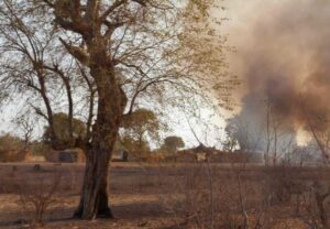 Conflit sanglant entre factions terroristes dans la forêt de Sambisa