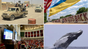 Alliance Jnim et FLA au Mali : quelles perspectives pour le pays ?