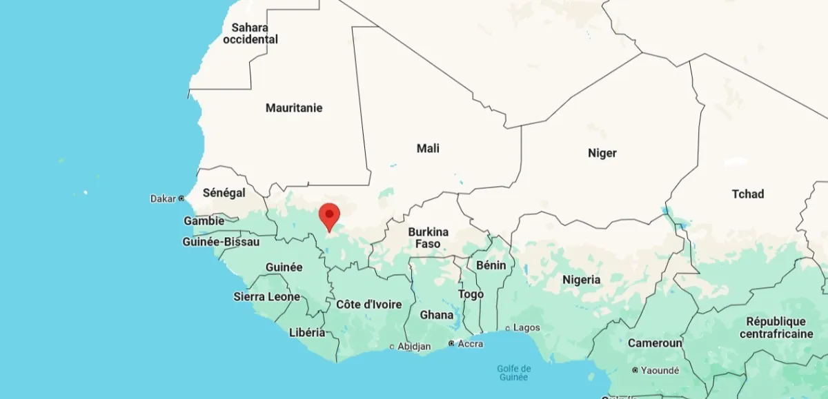 manifestation à Bamako contre une possible dissolution des partis politiques au Mali