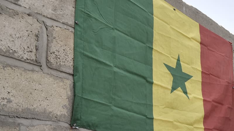 Drapeau du Sénégal flottant. Illustration