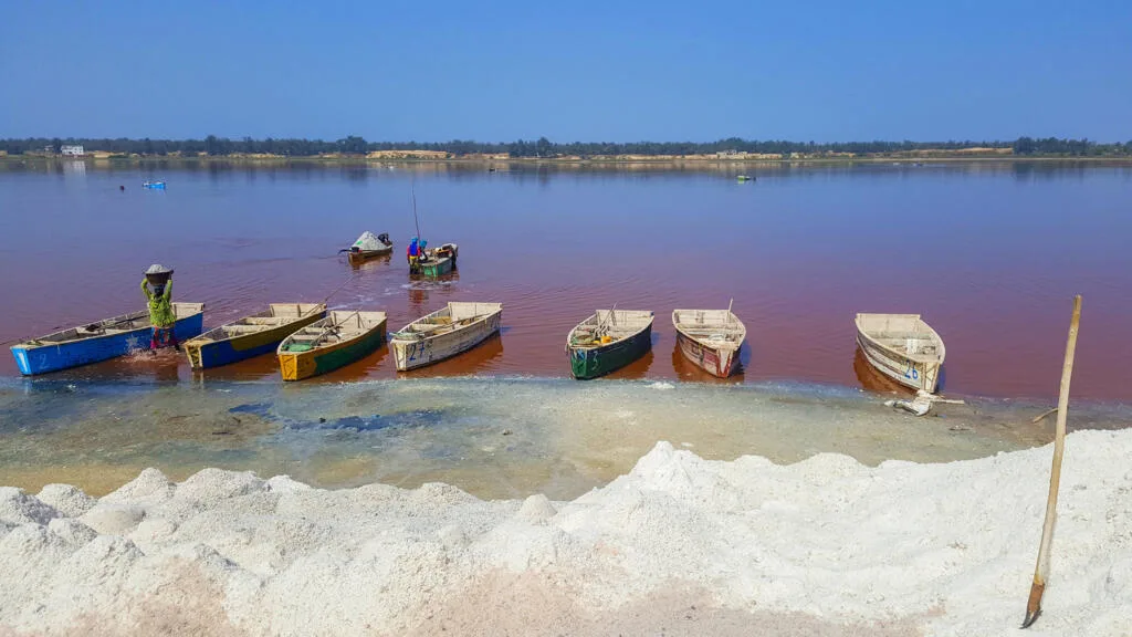 Manifestation contre le projet de cité écologique au Lac Rose à Dakar