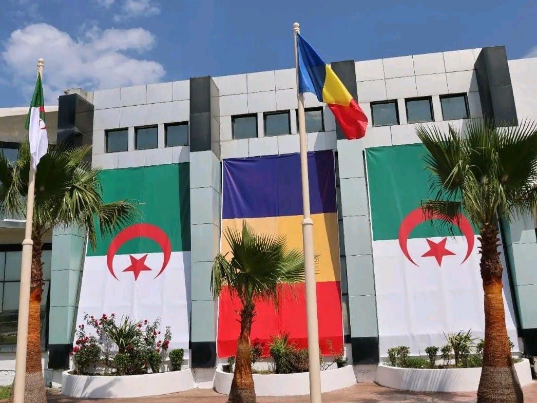 De jeunes professionnels tchadiens formés en Algérie, acteurs clés du développement national