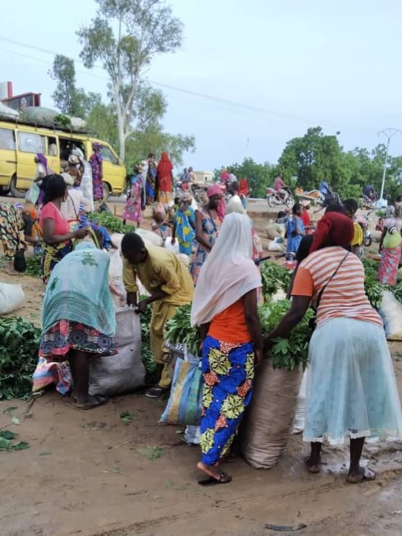 N’Djamena, capitale du Tchad : entre assainissement urbain et précarité sociale
