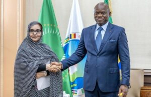 Francophonie africaine : le Gabon au cœur des enjeux de gouvernance
