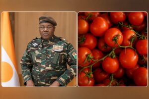 Tomate et dépendance : le paradoxe de la souveraineté au Niger