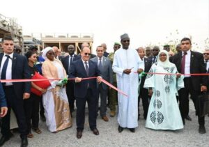 Alger renforce sa coopération énergétique avec le Niger par un don de 40 MW