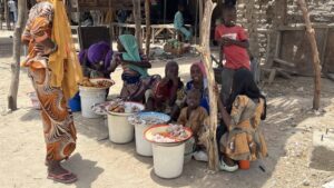 Nigeria : un espoir renaît avec la libération d&rsquo;otages par boko haram