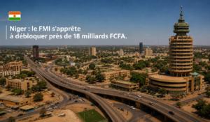Niger : le fmi valide un soutien financier de près de 18 milliards de fcfa