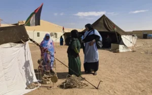 Le polisario face à l&rsquo;avancée militaire marocaine dans le Sahara occidental