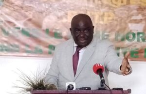 Gabon : l&rsquo;application des règles démocratiques sous le feu des critiques
