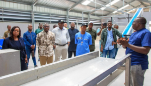 Bénin : vers une autonomie alimentaire grâce à la transformation locale des cultures