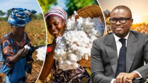 Le Bénin renforce son autonomie agricole par l&rsquo;innovation dans la filière cotonnière