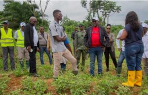 Gabon : les laboratoires du CENAREST au chevet de la souveraineté alimentaire