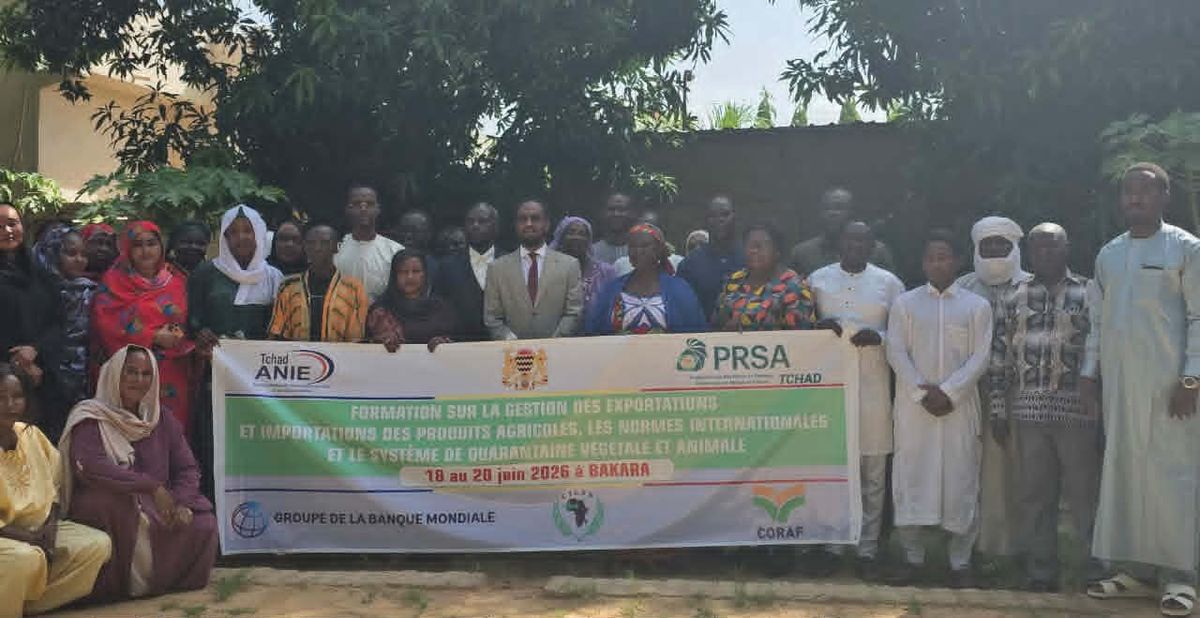 Tchad : formation pour améliorer les exportations agricoles