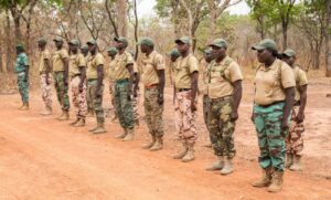 Tchad : les agents des eaux et forêts interdits de porter des insignes militaires