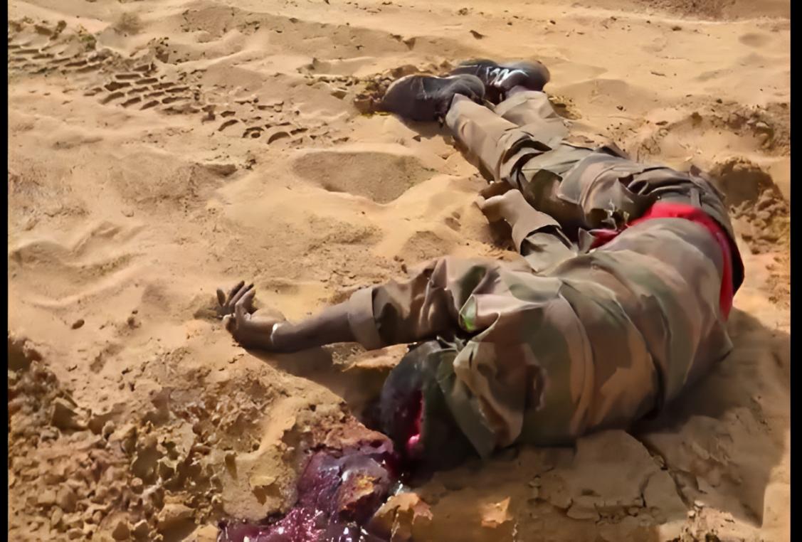 Embuscade meurtrière à Tabrichat au Nord-Mali