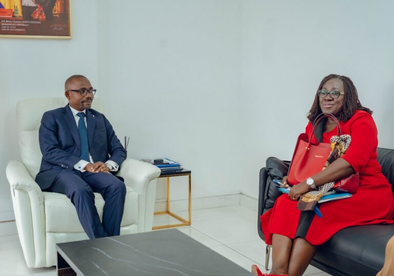 Gabon : les coulisses secrètes de la digitalisation du cadastre sous le microscope du ministre